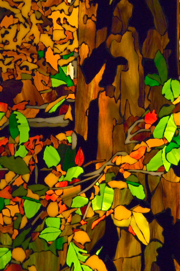 Detail: In the autumn forest 5