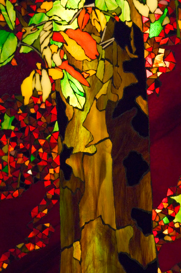 Detail: Im Herbstwald 5