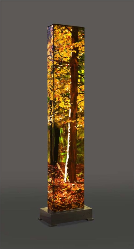 Im Herbstwald 4